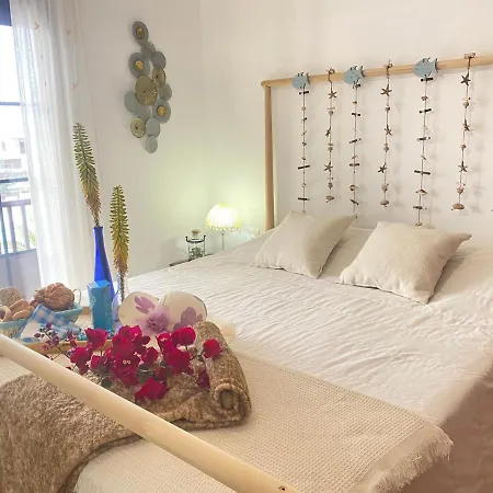Casa Tortuga Hébergement de vacances